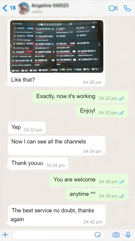WhatsApp chat: after setup help, a customer sends a photo of their channel list and says they can now see all the channels